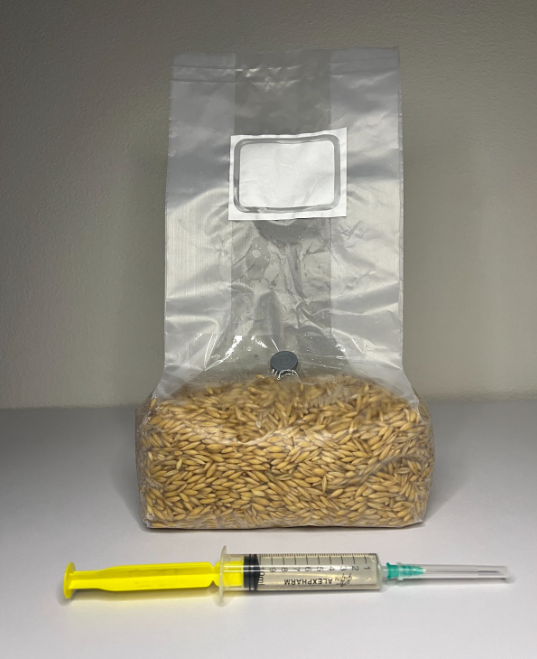 Стерильний зерновий субстрат у пакетах