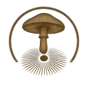 Спорові відбитки