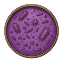 Рідкий міцелій і взвісі