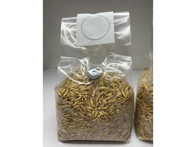 Стерильний зерновий субстрат (Овес) в малих пакетах