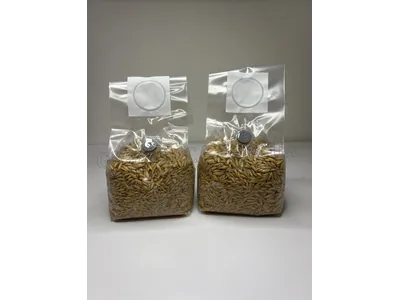 Стерильний зерновий субстрат (Овес) в малих пакетах