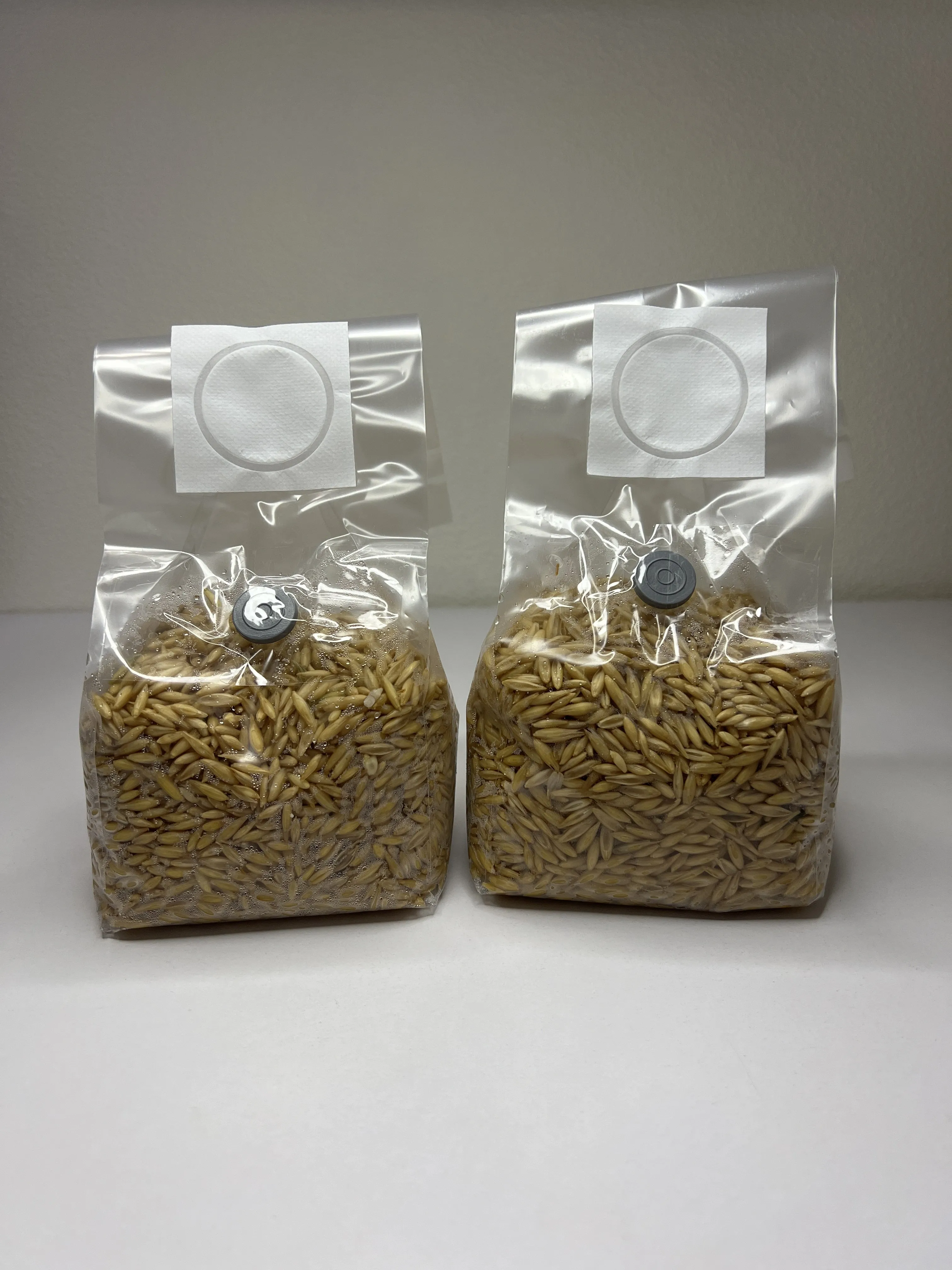 Стерильний зерновий субстрат (Овес) в малих пакетах