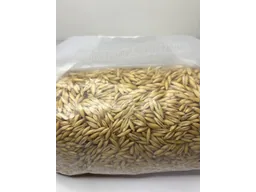 sterylʹnyy zernovyy substrat oves