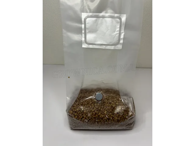 sterilnij-substrat-pshenicya