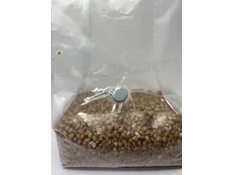 sterilnij-substrat-psilocibe