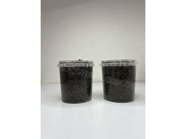 Стерильний гнойовий субстрат (кінський)