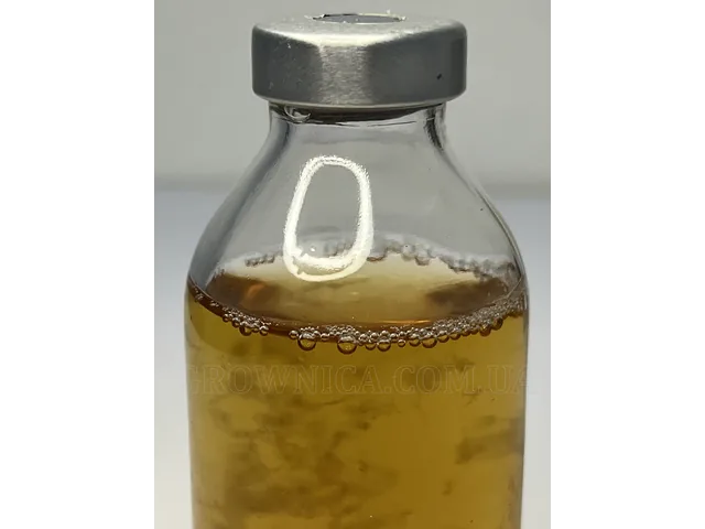 Рідке поживне середовище 100 мл. і спорова взвісь Cubensis