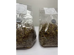 Стерильний зерновий субстрат (просо)