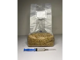 Субстрат зерновий стерильний (овес) зі споровою взвіссю Cubensis