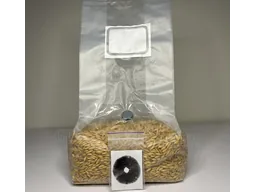 Зерновий субстрат зі споровим відбитком Cubensis