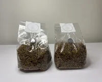 Стерильний зерновий субстрат (просо)