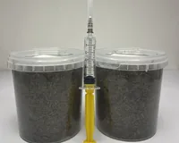 Стерильний гнойовий субстрат зі споровою взвіссю Panaeolus