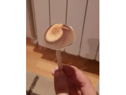 Спорові відбитки Cubensis F+