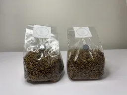 Стерильний зерновий субстрат (просо)